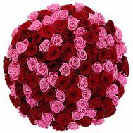 101 red and pink roses