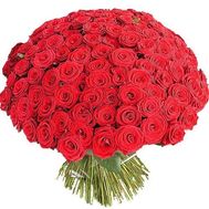 251 red rose