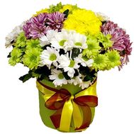 Chrysanthemums in a Hat Box