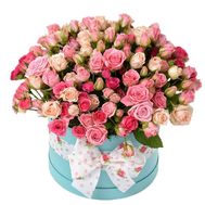 Shrub roses in the box