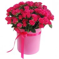 Pink bush roses in a round box