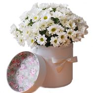 Chamomile chrysanthemums in a box