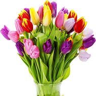 Bright bouquet of tulips