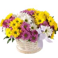 Basket of 11 colorful chrysanthemums