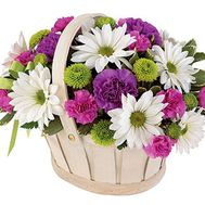 Basket of flowers from 8 chrysanthemums and 9 carnations