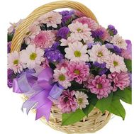 Basket of flowers from 13 multi-colored chrysanthemums