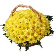Basket of 19 yellow chrysanthemum flowers