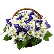 Basket of flowers from 12 chrysanthemums and 5 irises