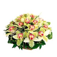 Basket of flowers from 19 orchid flowers