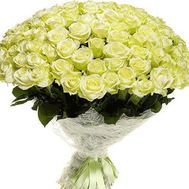 Bouquet of 101 white roses
