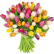 Bouquet of 75 multi-colored tulips
