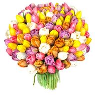 Bouquet of 101 different colored tulips