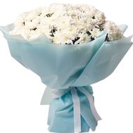 Bouquet of 25 white chrysanthemums