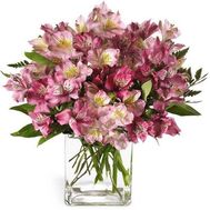 Bouquet of 15 alstromeries