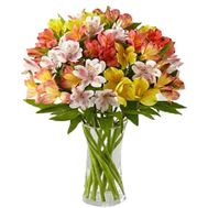 Bouquet of 19 multicolored alstromeries