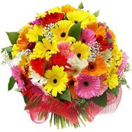 Bouquet of flowers from 35 multi-colored gerberas