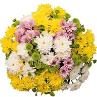 Bouquet of 23 chrysanthemums