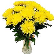 Bouquet of 19 yellow chrysanthemums