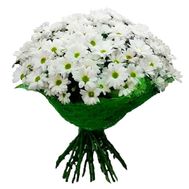 A bouquet of flowers from 19 chamomile chrysanthemums