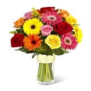 Bouquet of 10 roses and 7 gerberas