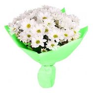 Bouquet of 9 white chrysanthemums
