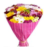 Bouquet of 35 chrysanthemums