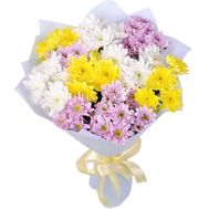 Bouquet of 13 different colored chrysanthemums