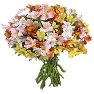 Bouquet of 35 multicolored alstromeries