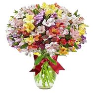Bouquet of 31 multi-colored alstroemerias