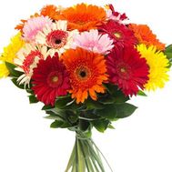 Bouquet of flowers from 25 multi-colored gerberas