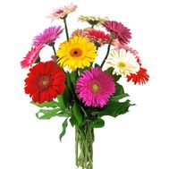 Bouquet of 11 different colored gerberas