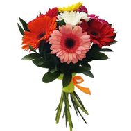 Bouquet of 9 color gerberas
