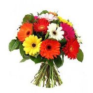 Bouquet of 13 different colored gerberas