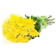 Bouquet of 11 yellow chrysanthemums