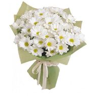 Bouquet of 7 white chrysanthemums