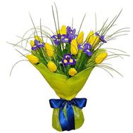 Bouquet of 13 tulips and 6 irises