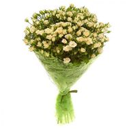 Bouquet of 19 bush roses
