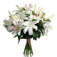 Bouquet of 7 white lilies flowers