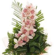 Bouquet of flowers from 1 branch of white orchid