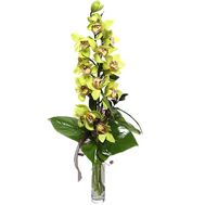 Bouquet of flowers from 1 branch of a yellow orchid