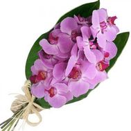 Bouquet of flowers from 3 branches of a pink orchid