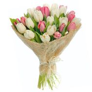 Bouquet of 27 Tulips