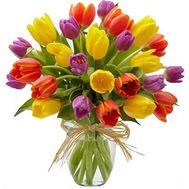 Bouquet of 25 tulips