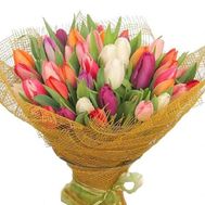 Bouquet of 101 tulips