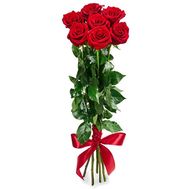 Bouquet of 7 red roses