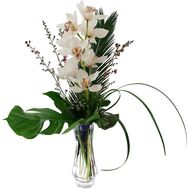 Bouquet of flowers from 1 branch of white orchid