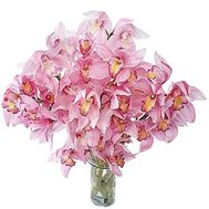 Bouquet of flowers from 5 branches of a pink orchid