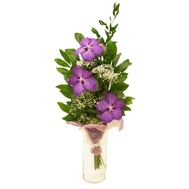 Bouquet of flowers from 3 orchid flowers