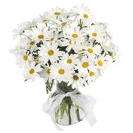 Bouquet of flowers from 29 chamomiles