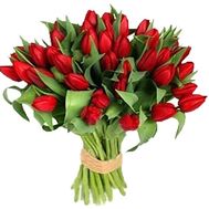 Bouquet of 35 red tulips